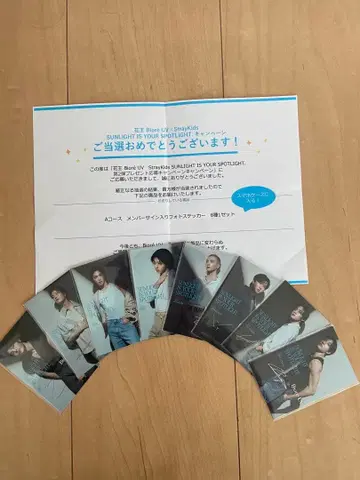 StrayKids 사인 포함 사진 스티커 8종 세트 비오레 스키즈