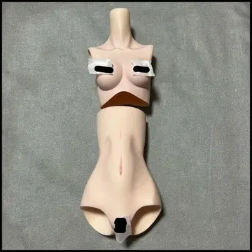 상반신 하반신 Type-C Angel Philia VMF50 정크 취급