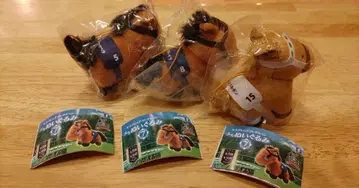 새상품 서러브레드 컬렉션 쁘띠 봉제 인형 7 레가레이라 가챠 경마 굿즈