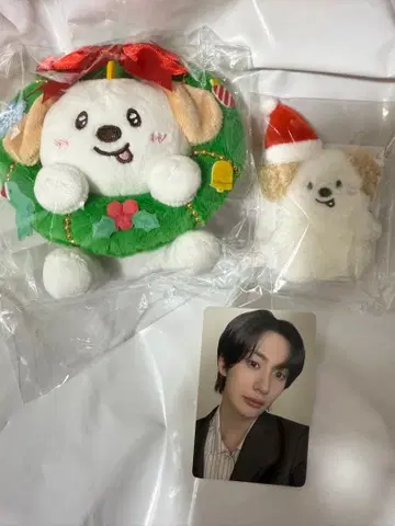 RIIZE 109 마스코트 키링 트레이딩 카드 앤톤 세트 손가락 인형