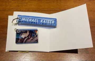 블루 록 전시회 아크릴 플레이트 카이저