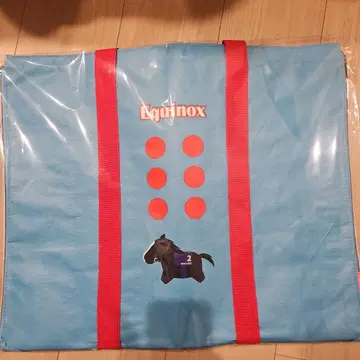 이퀴녹스 2way 돗자리 토트백