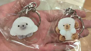 조세마루 POP UP 그림 전시 아크릴 키링 마루코로 라떼