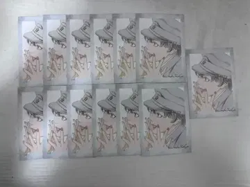 라이치 히카리 클럽 이치하시 라이조 백일몽 트레이딩 카드 13장