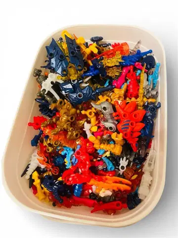 뼈뼈 자우르스 묶음 판매