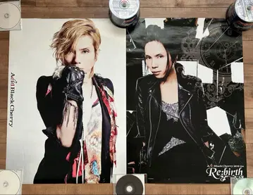 Acid Black Cherry 양면 포스터 2장 세트