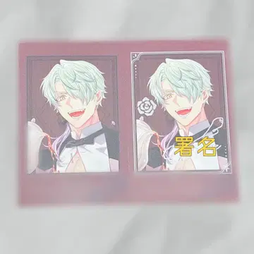 오토메이트 마켓 오토후유 큐피파라 피터 포토 카드 친필 서명