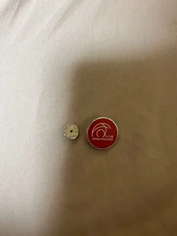 스위스 파빌리온 핀 배지