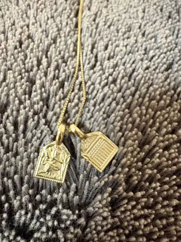 [ Alexia Stam ] 금속제 펜던트 목걸이