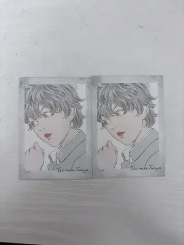 라이치 히카리 클럽 이치하시 라이조 백일몽 트레이딩 카드 2장