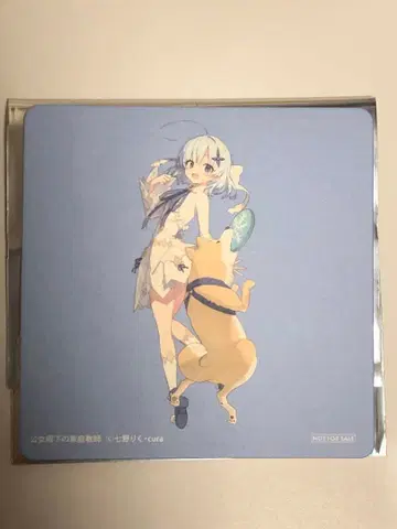 라이트 노벨전 코스터 티나