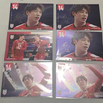 배구 남자 일본 대표 엽서 이시카와