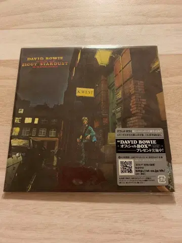 지기 스타더스트 데이비드 보위 <완전 생산 한정판>
