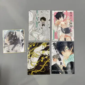 시키미 비비 onBLUE 색지 소책자