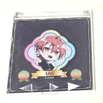 우리 컬러풀피치 카라피치 카라피치 거울