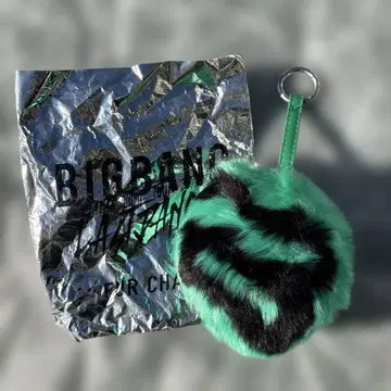 BIGBANG 퍼 참 T.O.P