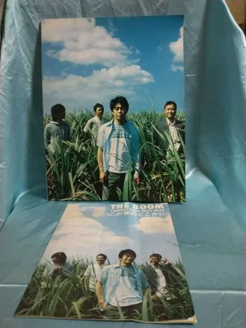 THE BOOM 이 하늘 어디엔가 투어 팜플렛 미야자와 카즈후미