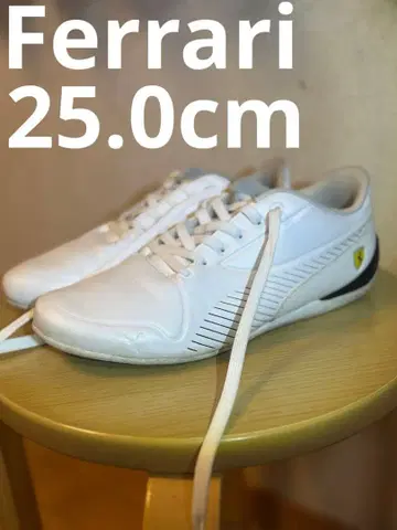 PUMA 페라리 스니커즈