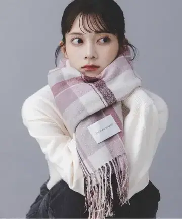 질바이 체크 스톨