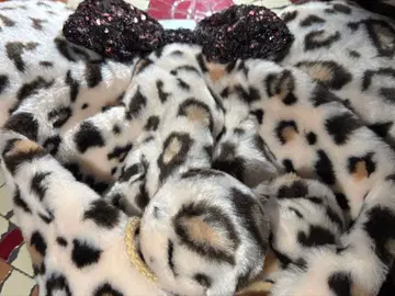 디즈니 레오파드 무늬 미니 팬캡 2025 베이지