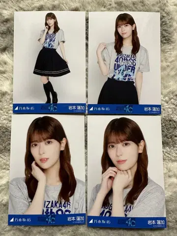 노기자카46 언더 라이브 라이브 T셔츠 이와모토 렌카 컴플리트 4매