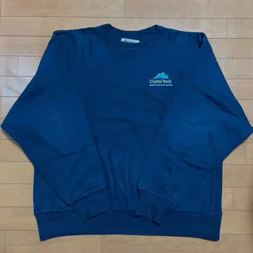 90s 챔피온 리버스 위브 USED CHAMPION