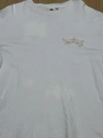 Mrs. GREEN APPLE Harmony 셔츠 L