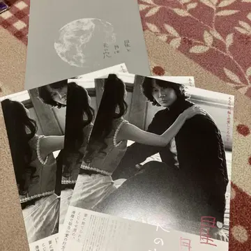 아야노 고시 별과 달은 하늘의 구멍 팜플렛 플라이어 3장