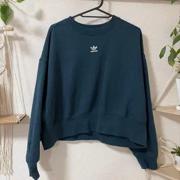 아디다스 다크 그린 트레이닝복 2XL 속기모