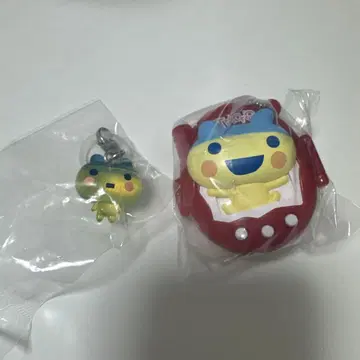 야옹마메치 세트