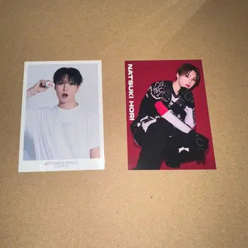 호리 나츠키 트레이딩 카드