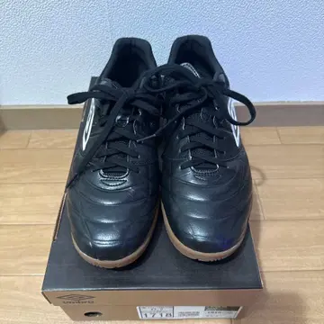 엄브로 액셀러레이터 사라 WIDE IN 27.0 Cm