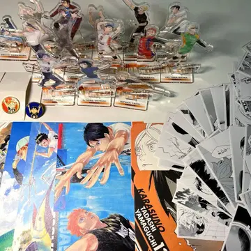 하이큐!! 카라스노 고교 묶음 판매