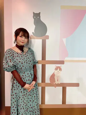 mmts 고양이 카라 부착 얼룩무늬 원피스