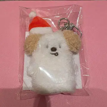 RIIZE 시부야 109 손가락 인형 앤톤 몽룡이