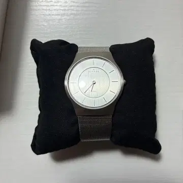 SKAGEN 쿼츠 손목시계 실버