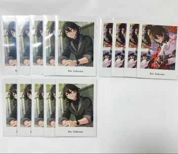 앙스타 파샤츠 사쿠마 레이