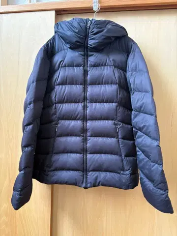 patagonia 파타고니아 여성용 다운