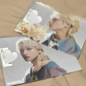 BUDDiiS FUMIYA 키라리 생일 2L PHOTO