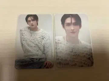 ROIROM 로이롬 roirom 하마카와 로코 트레이딩 카드