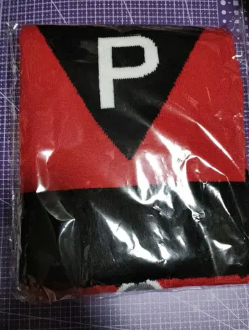 핵P-MODEL 머플러