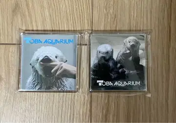 도바 수족관 랏코 마그넷 2개 세트 메이 키라