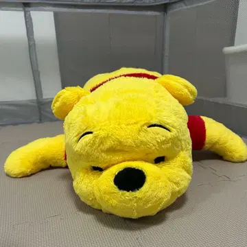 디즈니랜드 푸우