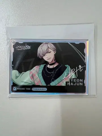 파라라이 디지털 회원증풍 키링