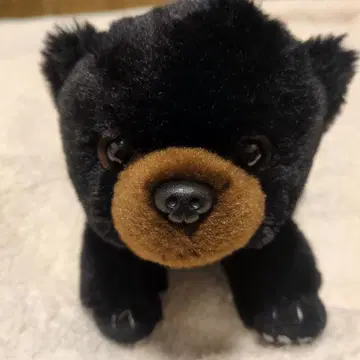 곰 봉제 인형