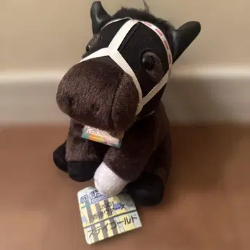 아이돌 호스 홍콩 베르사 스테이 골드 M 사이즈