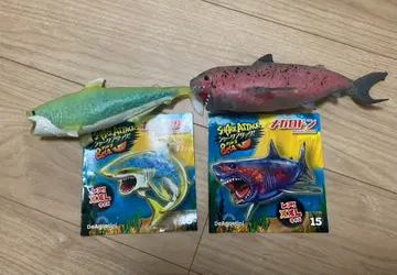 샤크 어택&co. 귀상어, 메갈로돈