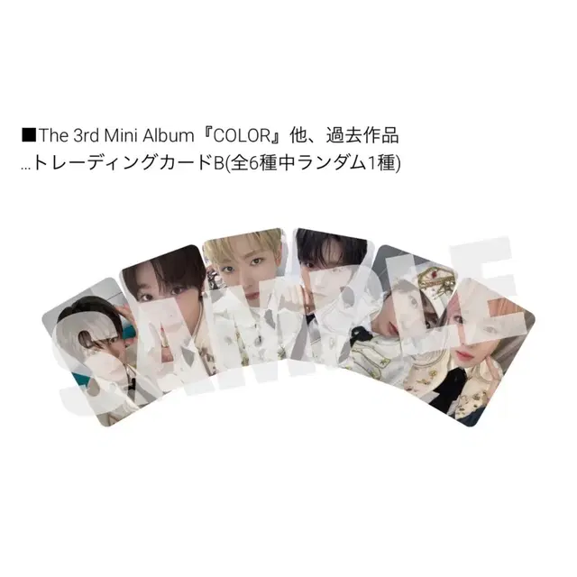 엔시티위시 일본 한정 무모샵 앨범 시온리쿠유우시재희료사쿠야 포카 분철