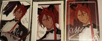 하니브 오토마 오토후유 미로 파르카 아크릴 스탠드 아크릴 카드