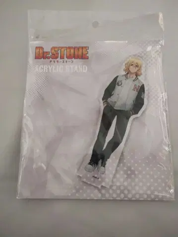 Dr.STONE 나나미 류스이 아크릴 스탠드 독스트